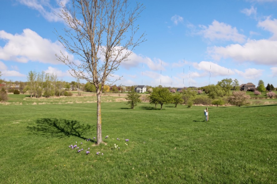 20951 Prairie Hills Lane, Prior Lake, MN photo 10