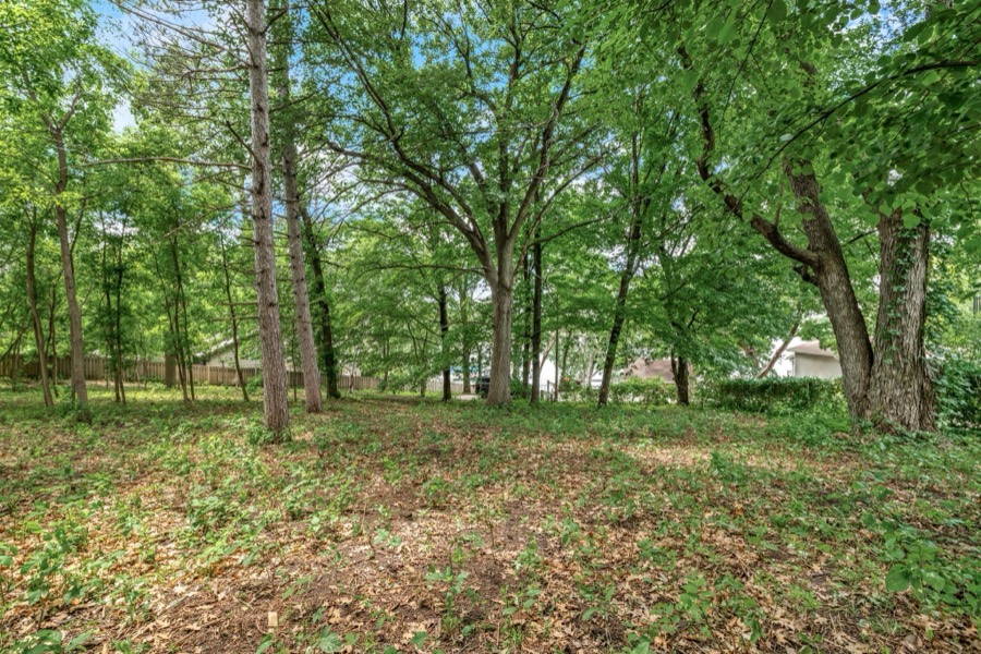 XXX Inguadona Beach Circle SW, Prior Lake, MN photo 18