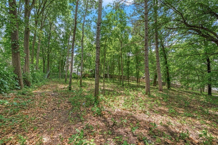 XXX Inguadona Beach Circle SW, Prior Lake, MN photo 19