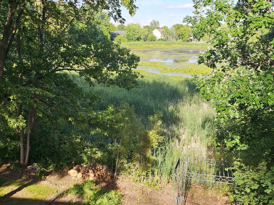 16821 Blind Lake Trail SE, Prior Lake, MN photo 20