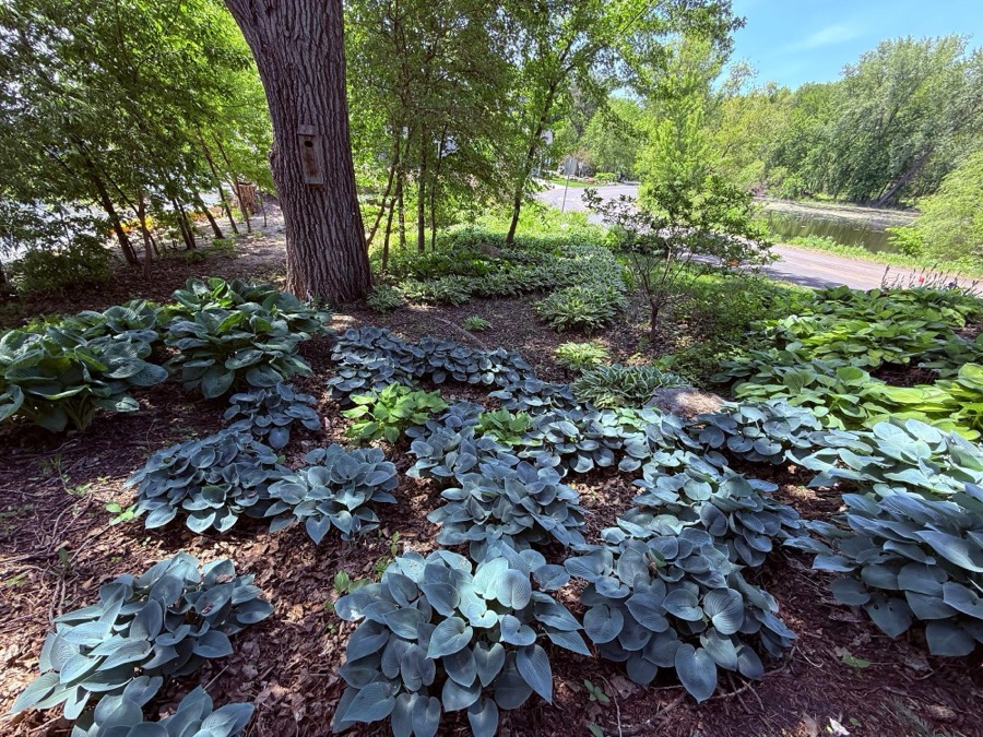 14484 Shady Beach Trail NE, Prior Lake, MN photo 24