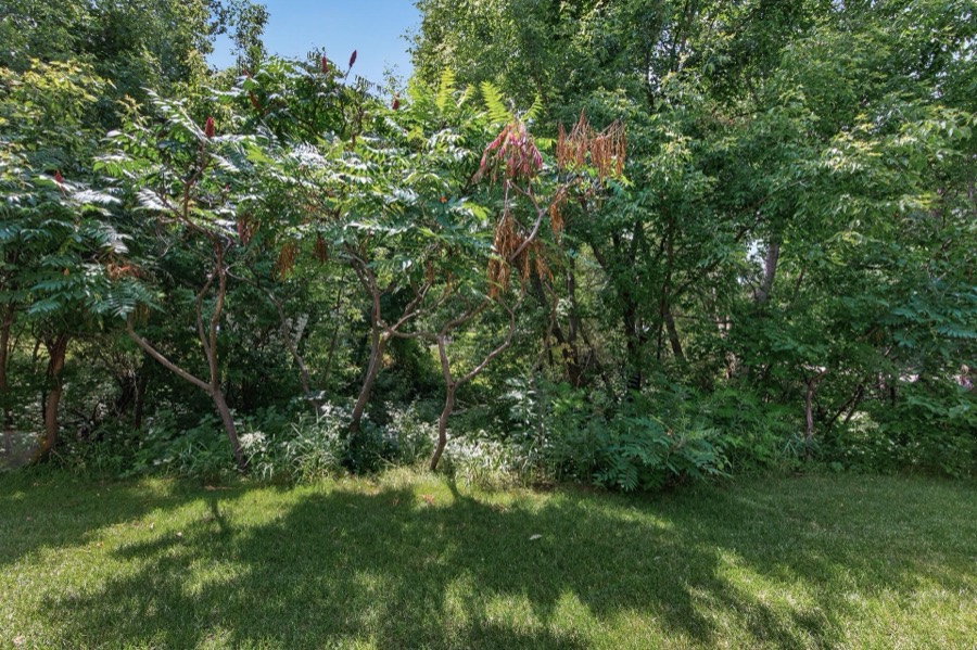 2637 Wilds Lane NW, Prior Lake, MN photo 23